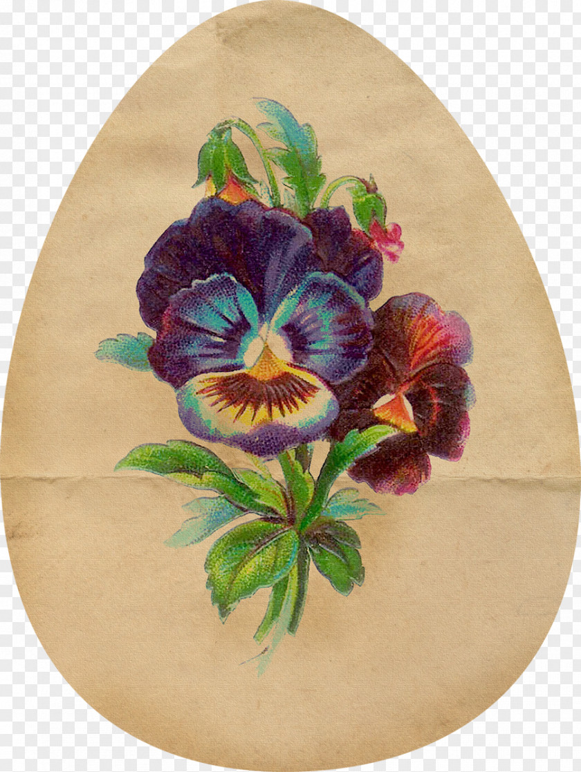 Flower Pansy Floral Design Art Clip PNG