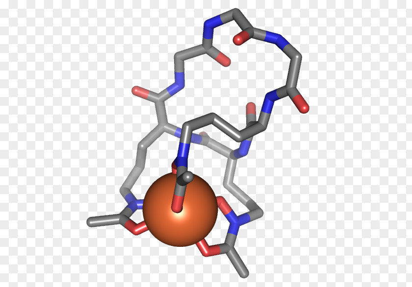 Iron Ferrichrome Siderophore Chemistry Coordination Complex PNG