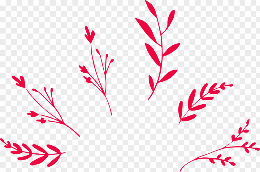 Leaf Branch PNG