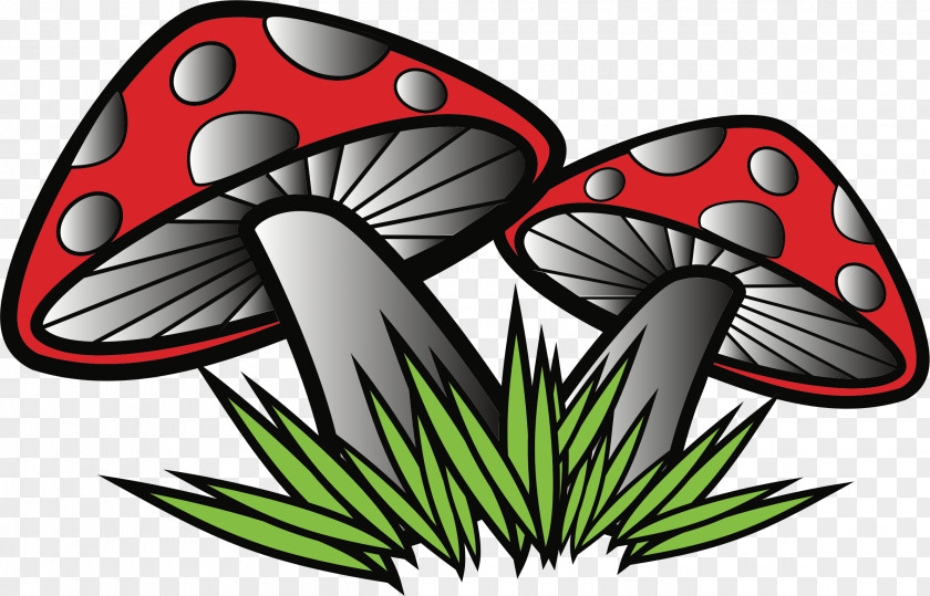 Poisonous Mushrooms Mushroom Fungus Russula Emetica Clip Art PNG