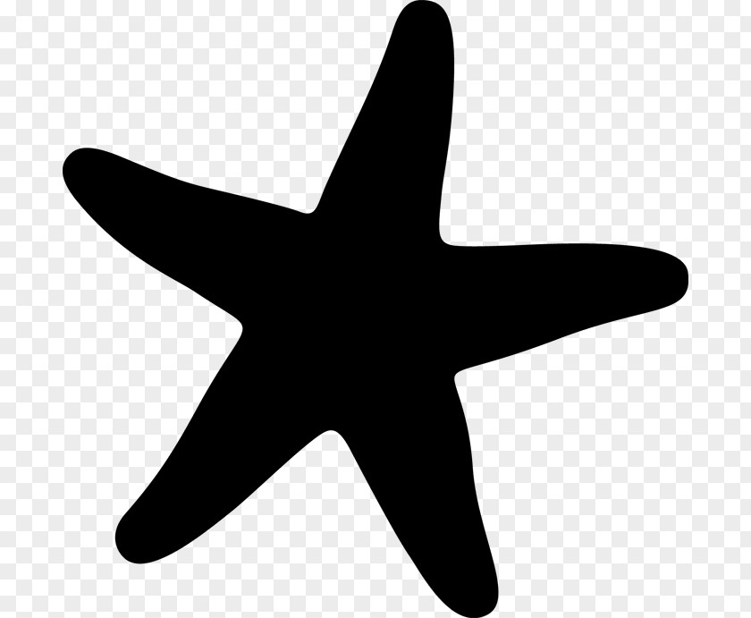 Sea Star Starfish Marine Invertebrates Clip Art PNG