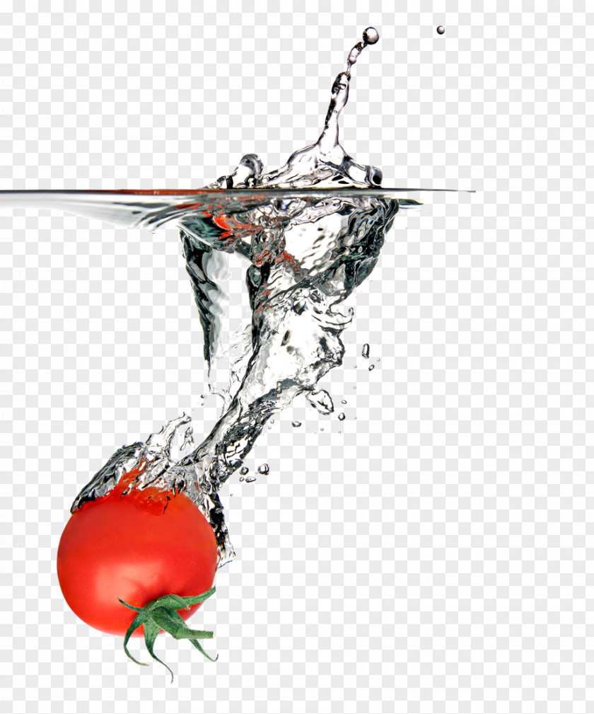 Tomato Splash Flowering Plant Fruit PNG