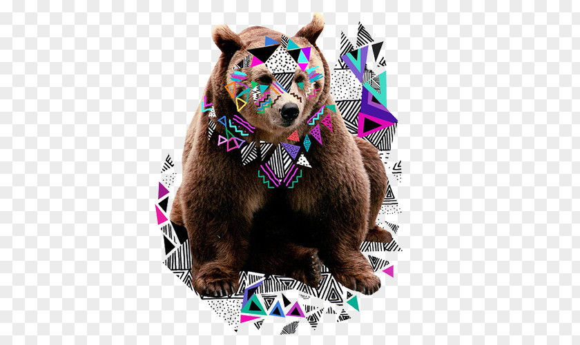 Brown Bear Art Graphic Design Illustration PNG