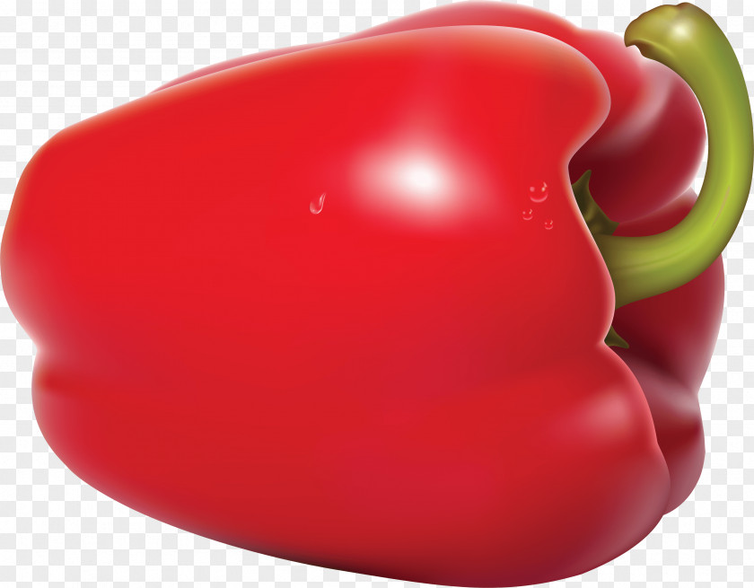 Red Pepper Image Bell Chili Vegetable PNG