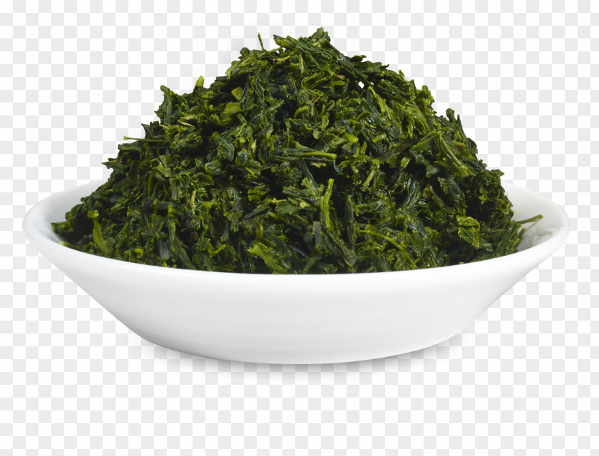 Tea Gyokuro Kabusecha Green Laver Cup PNG