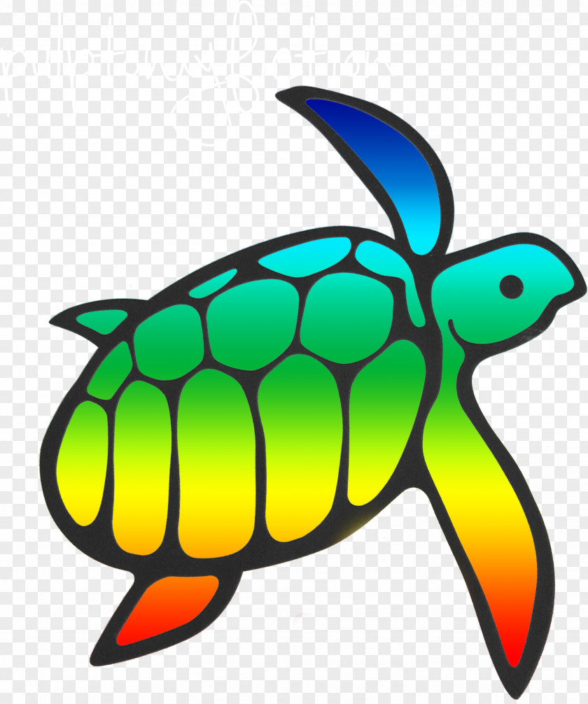 Battleship Game Logo Transparent Sea Turtle Tortoise M Clip Art PNG