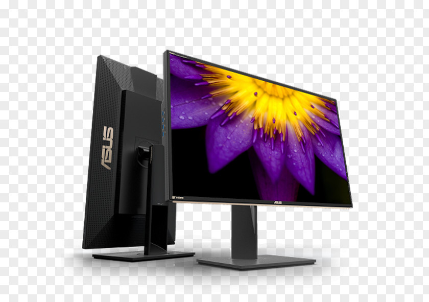 Computer Monitors IPS Panel ASUS PA-9Q 4K Resolution PNG