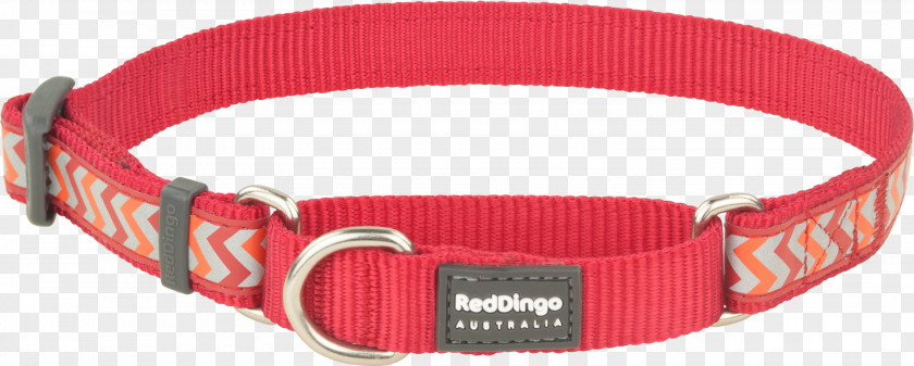 Dog Collar Dingo Martingale PNG