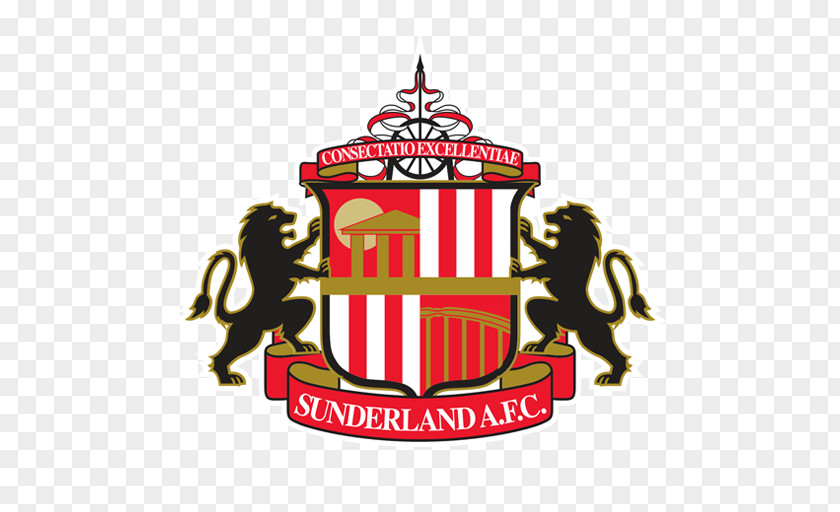 Premier League Stadium Of Light Sunderland A.F.C. Football Logo PNG