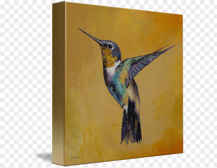 Painting Hummingbird Watercolor Canvas Print PNG