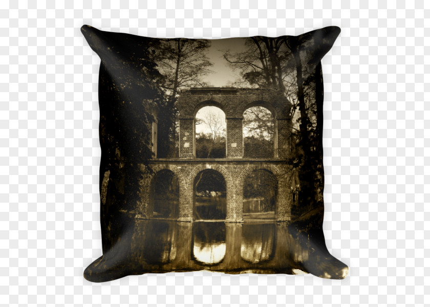 Romeo And Juliet Movie Cover Throw Pillows Bed Cushion Everyday Love Volume 3: The Art Of Nidhi Chanani PNG