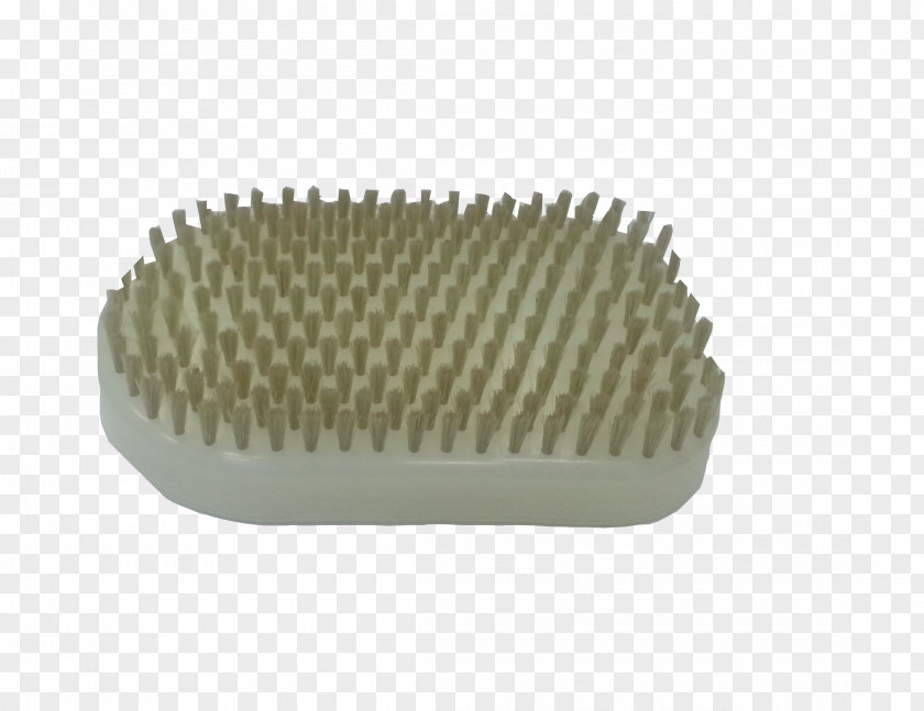 Toothbrush Brush Bristle Physical Therapy Nylon PNG