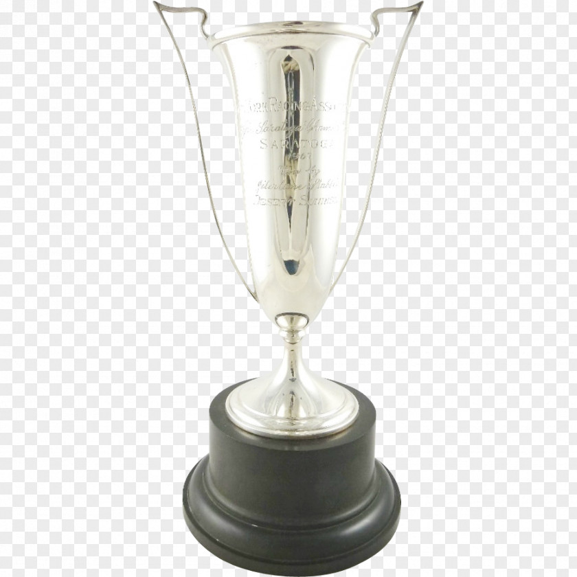 Trophy Sterling Silver Award Cup PNG