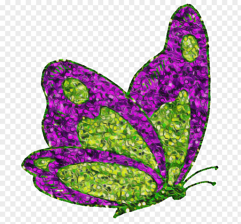 Butterfly Leaf Purple Violet Moths And Butterflies PNG