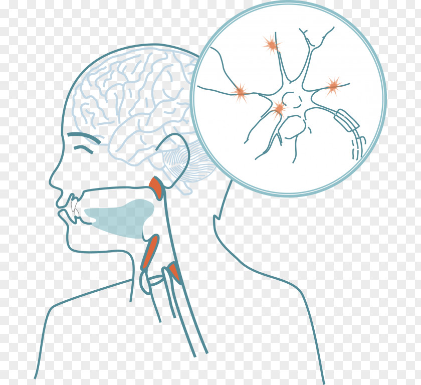 Face Human Mouth Neck Dysphagia PNG