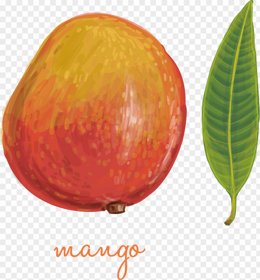 Juicy Mango Leaf PNG