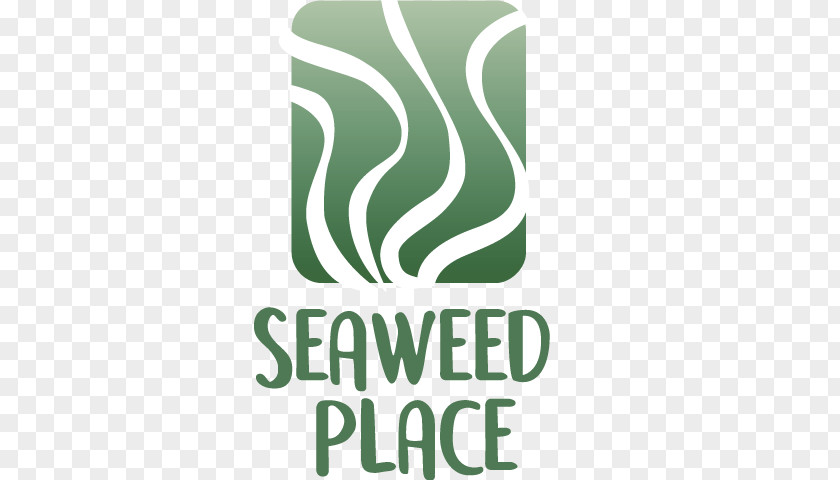 Nori Seaweed Brand Logo Product Design Chile PNG