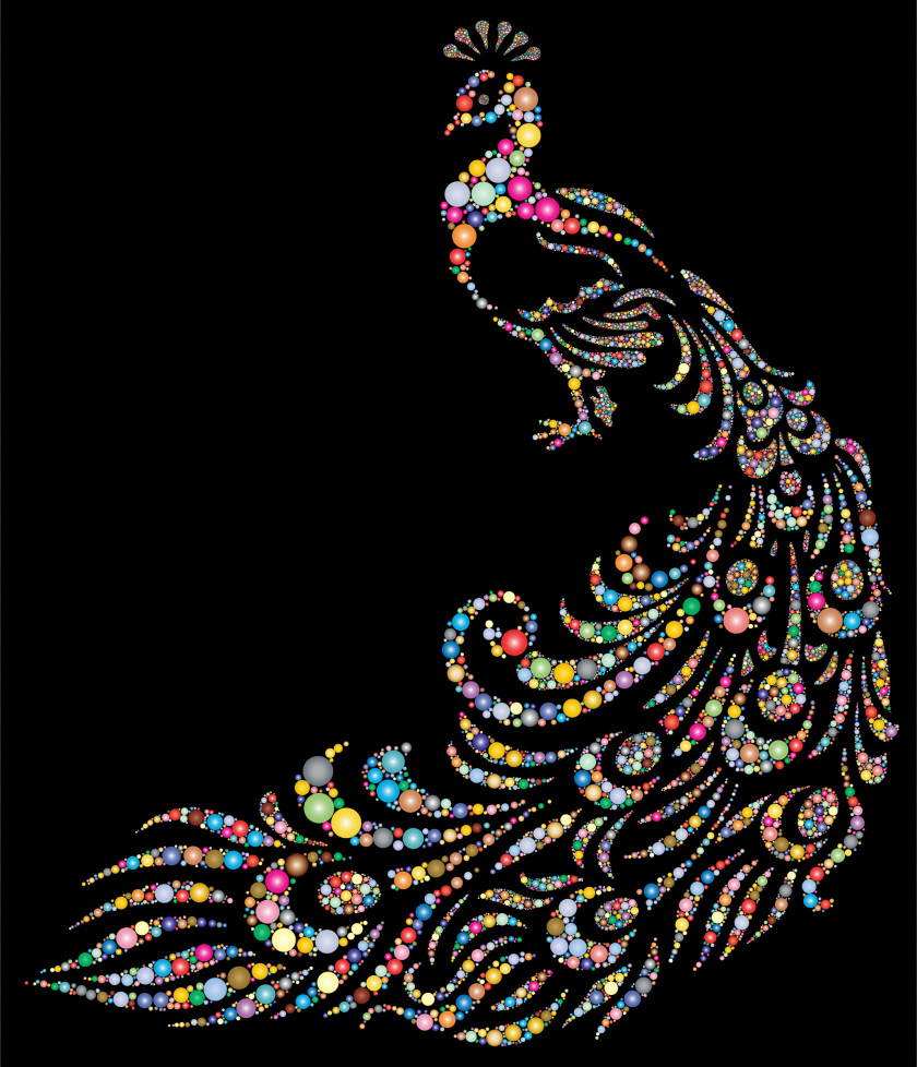 Peacock Asiatic Peafowl T-shirt Bird PNG