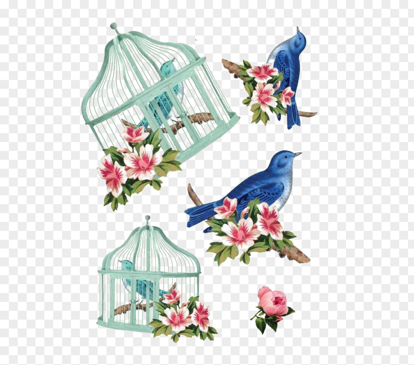 Art Birdcage Illustration PNG