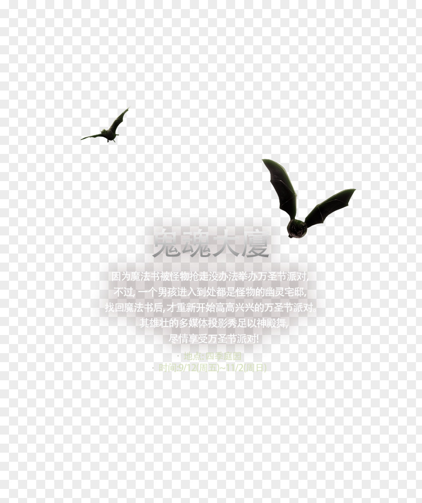 Computer Beak Desktop Wallpaper Feather Font PNG