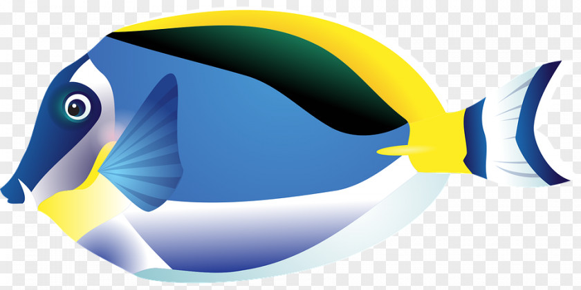 Fish Tropical Drawing Clip Art PNG