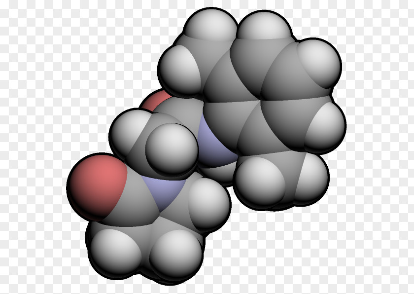 Grape Nefiracetam Pharmacology PNG