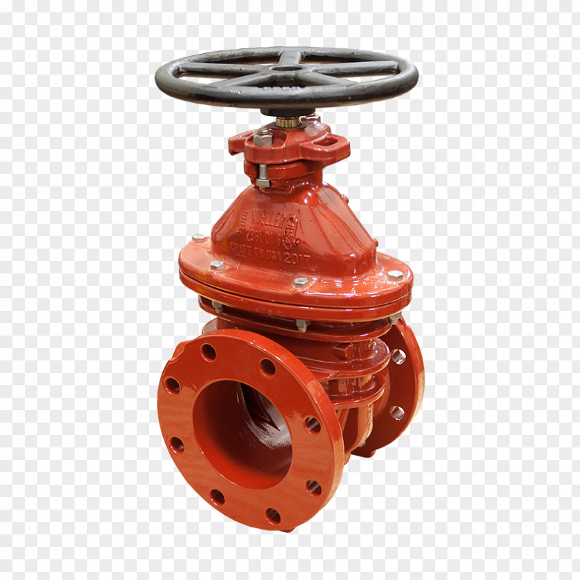 Nominal Pipe Size Gate Valve Piping And Plumbing Fitting Flange PNG