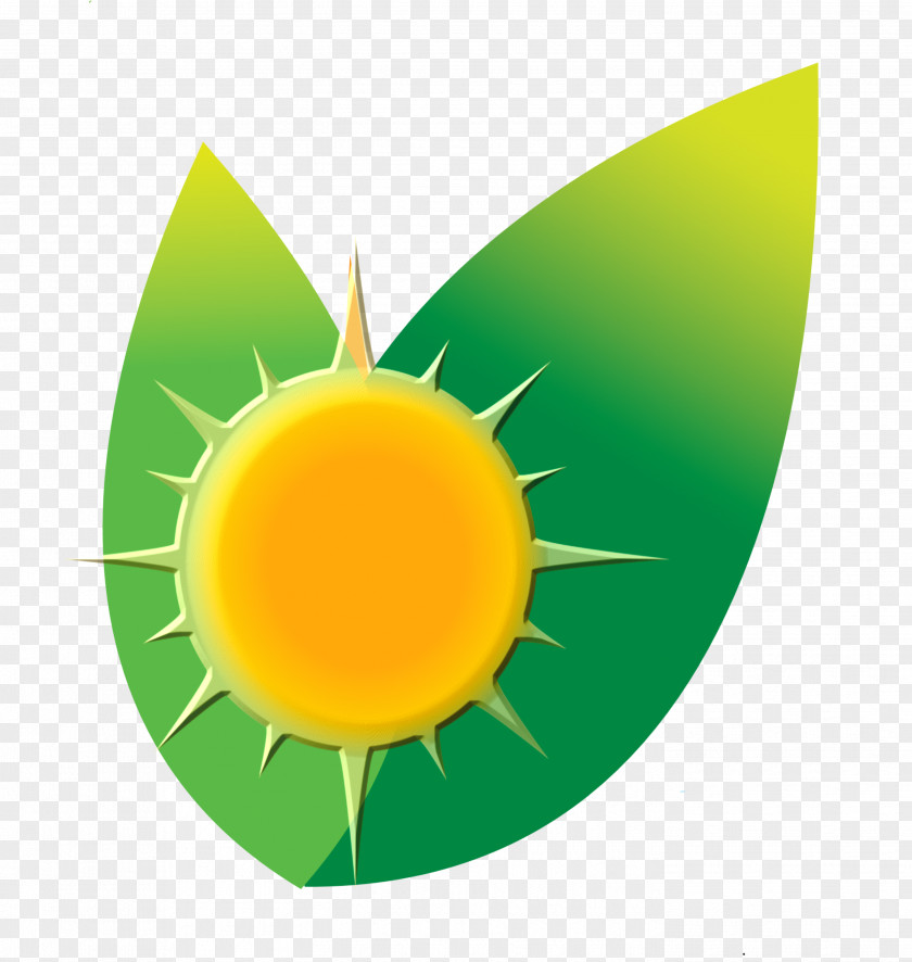 Solar Panel Carib Sun Energy Power Photovoltaic System Graphics People PNG