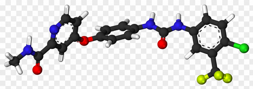 The James Cancer Hospital Sorafenib Pharmaceutical Drug Hepatocellular Carcinoma PNG