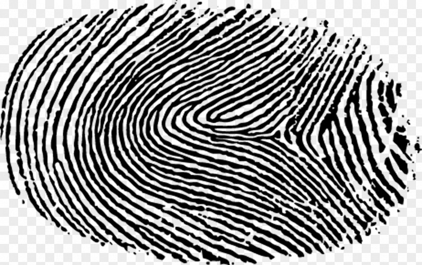 Vector Fingerprint Material Digital Printing Risk PNG