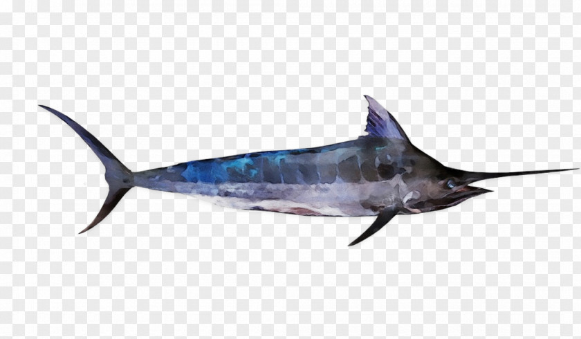 Bony Fishes Swordfish Sharks Dolphin Fish PNG