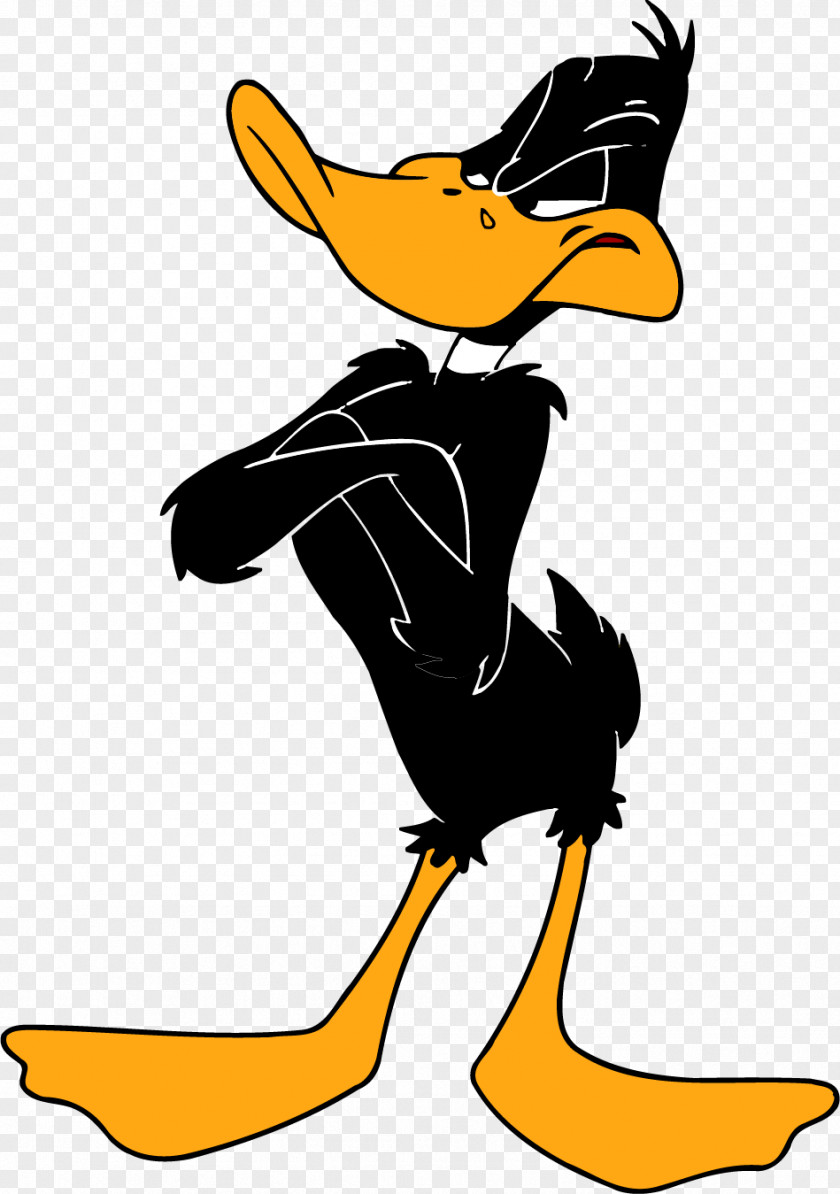 Donald Duck Daffy Bugs Bunny Daisy Looney Tunes PNG