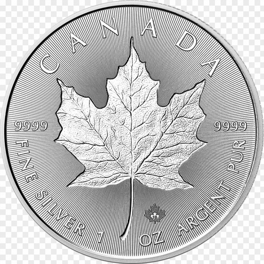 Gold Canadian Silver Maple Leaf Bullion Coin PNG