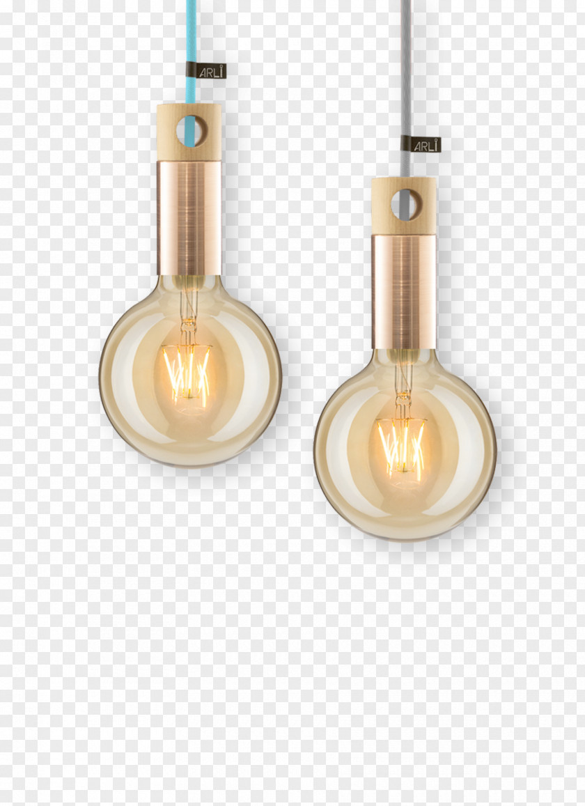 Light Incandescent Bulb Fixture Edison Screw PNG
