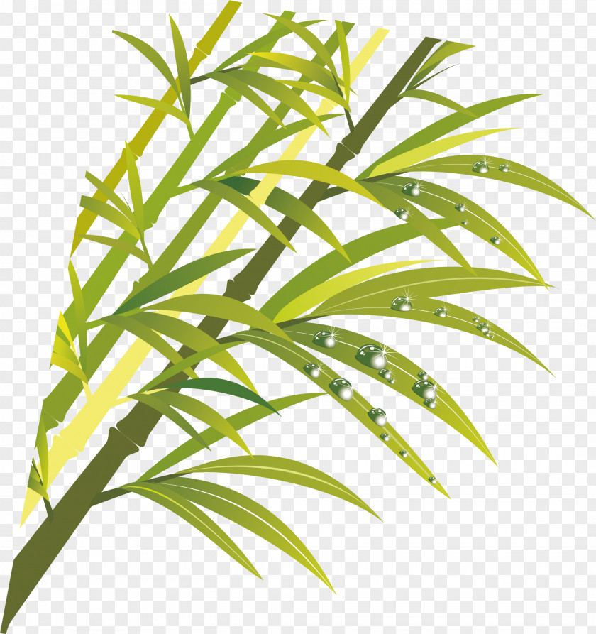 Bamboo Vector Element ArtWorks PNG