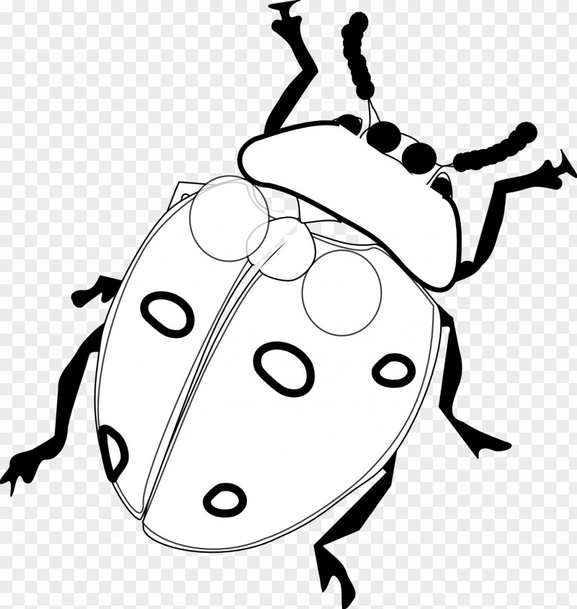 Black And White Ladybug Clipart Ladybird Drawing Clip Art PNG