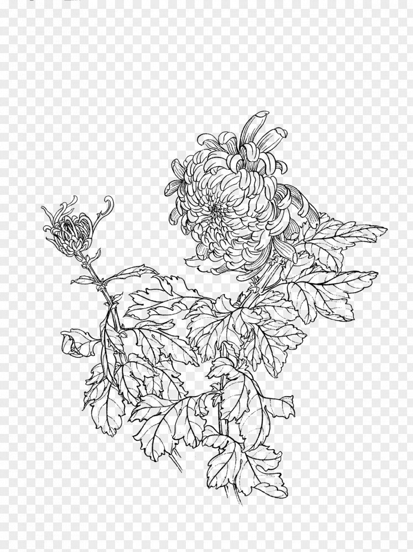 Chrysanthemum Painting Gongbi Line Art U767du63cfu753b PNG