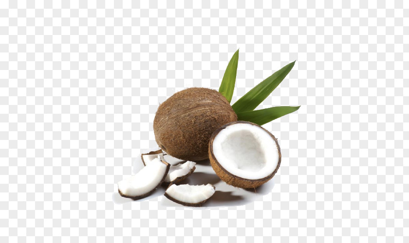 Coconut Milk Water Fruit Oil PNG