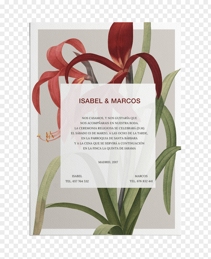 Design Floral Paper Convite Giclée PNG