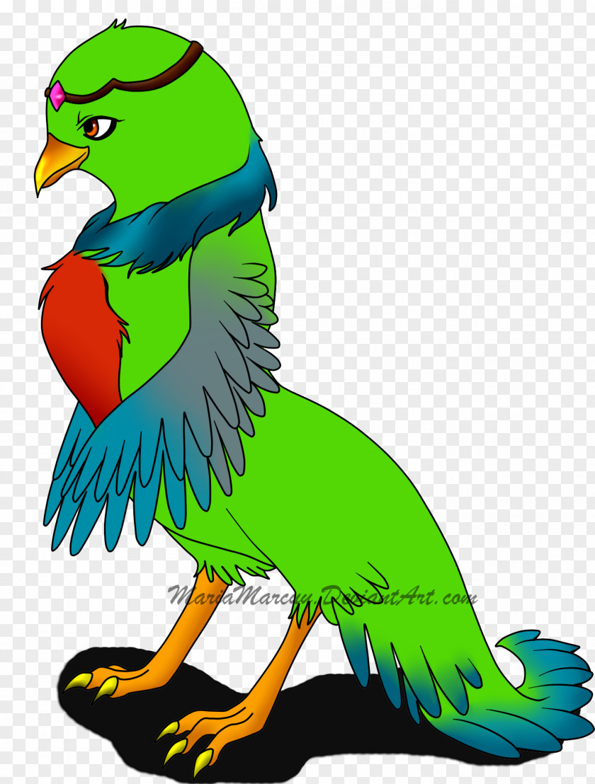 Diabolo Macaw Clip Art Illustration Parakeet Beak PNG