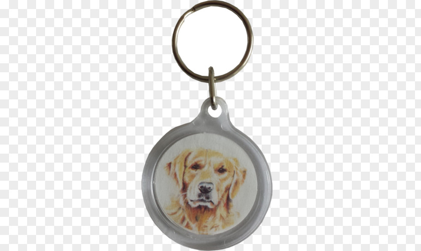 Puppy Dog Breed Poodle Retriever Key Chains PNG