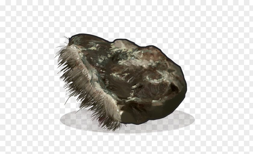 Snout Fur PNG