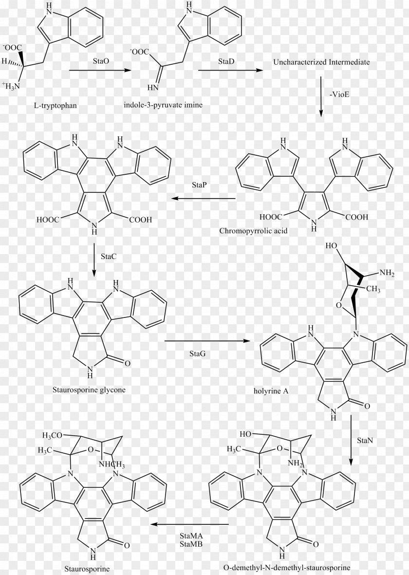 Staurosporine Midostaurin Chemical Synthesis Pharmaceutical Drug CD135 PNG