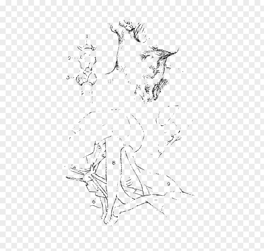 Visual Arts Drawing Line Art Sketch PNG