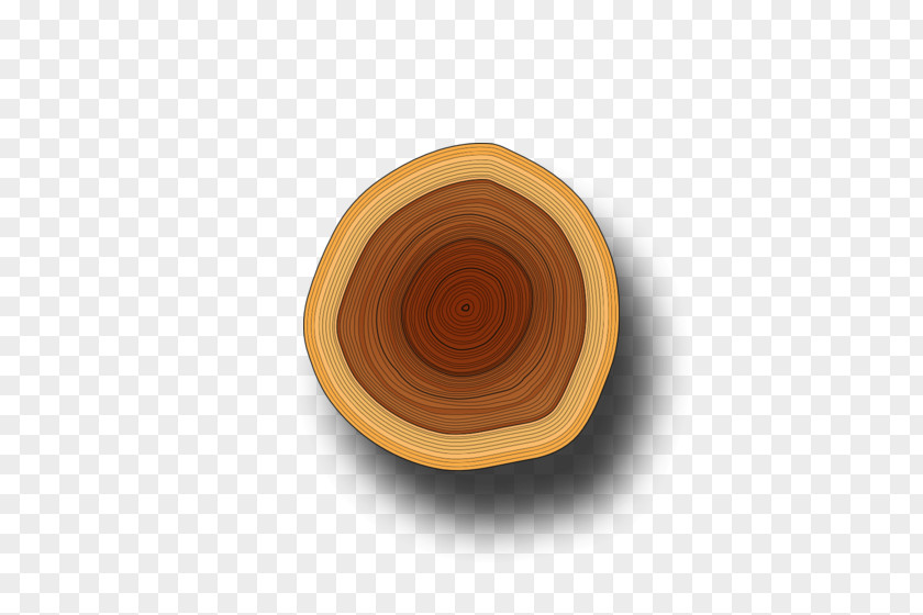 Wood Bowl Plate Tableware PNG