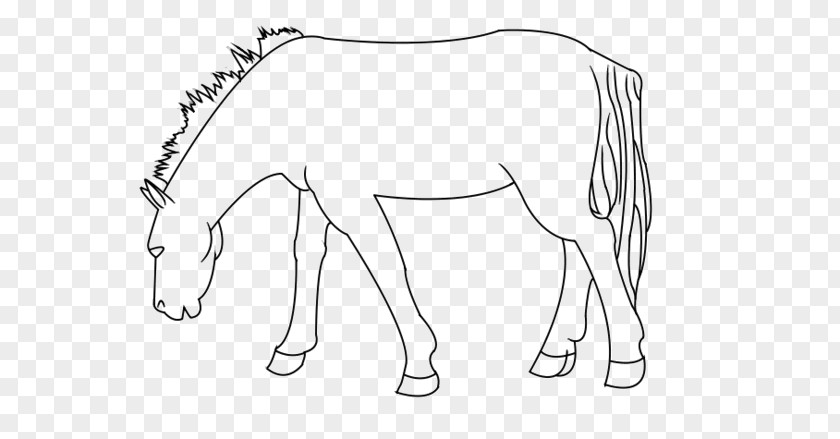 A Horse Template Mule Foal Bridle Halter Line Art PNG