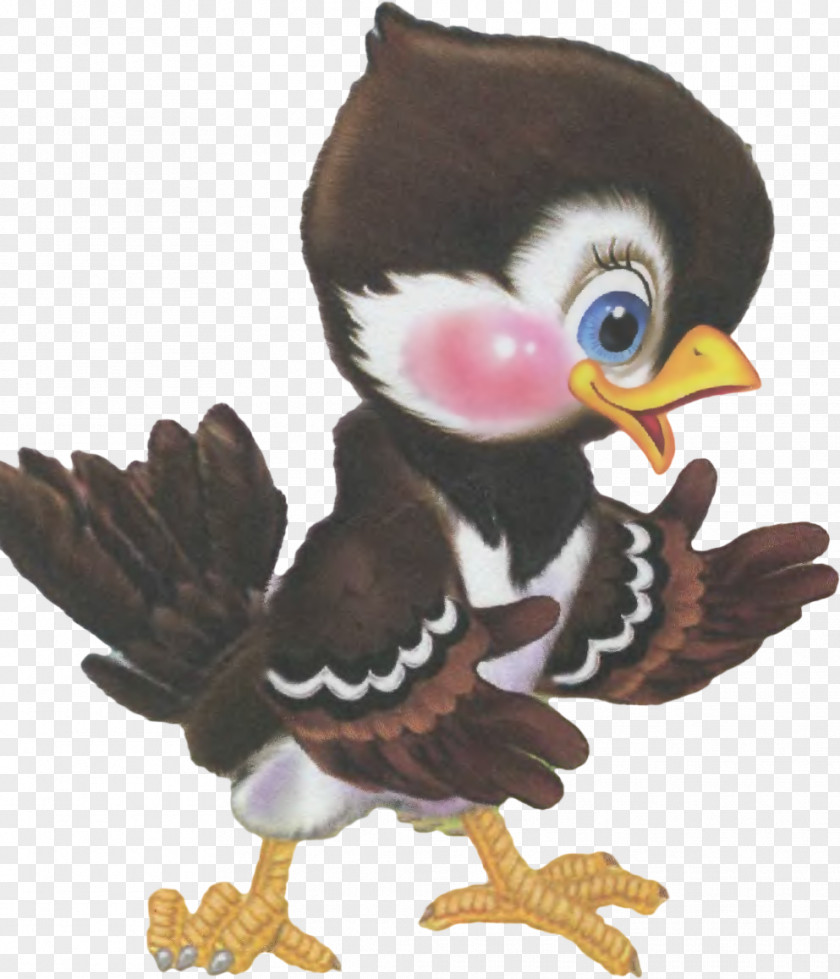 Cartoon Bird Beak Of Prey PNG