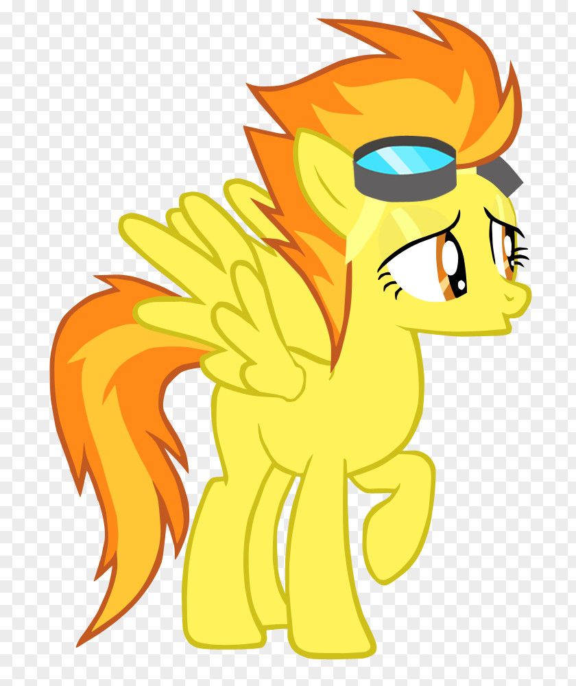 My Little Pony Rainbow Dash Supermarine Spitfire Twilight Sparkle Rarity PNG