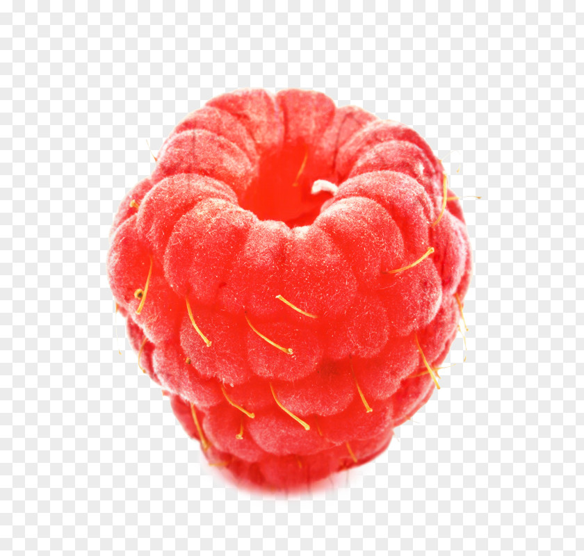 Pastry Plant Fruit Cartoon PNG