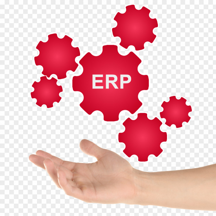 Erp Enterprise Resource Planning Computer Software Empresa System Sistema Integrado De Gestión PNG